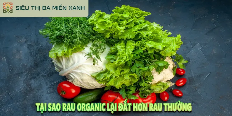 Rau Organic Là Gì? Tại Sao Rau Organic Lại Đắt 3 Tại Sao Rau Organic Lại Đắt ?