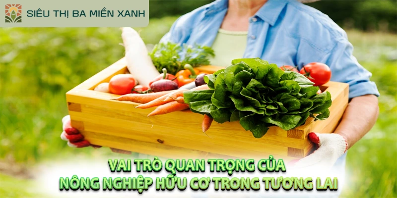 Sự Khác Biệt Giữa Nông Nghiệp Hữu Cơ và Nông Nghiệp Truyền Thống? 3 Vai trò quan trọng của nông nghiệp hữu cơ trong tương lai