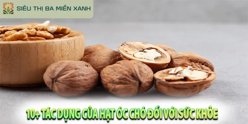 10 Lợi Ích Vàng Của Hạt Óc Chó Đã Được Chứng Minh 2 10+ Tác Dụng Của Hạt Óc Chó Đối Với Sức Khỏe