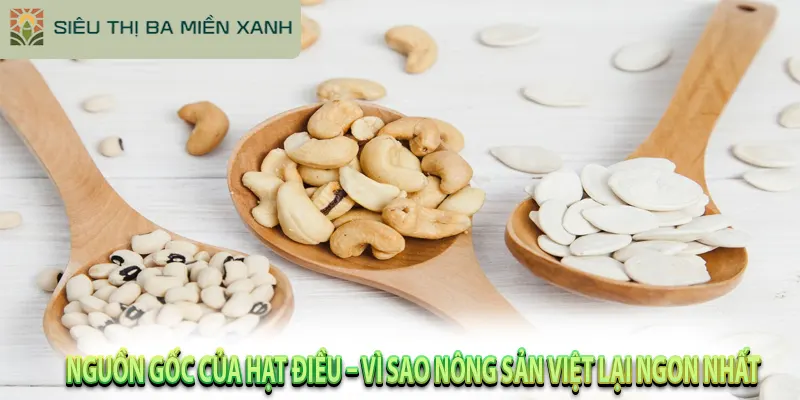 Lợi Ích Của Hạt Điều & Bí Quyết Chọn Mua Chuẩn 2 5 Lợi Ích Khi Ăn Hạt Điều Mỗi Ngày