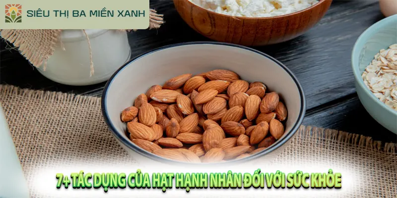 Hạt Hạnh Nhân: "Nữ Hoàng" Dinh Dưỡng & Cách Ăn Đúng 2 7+ Tác Dụng Của Hạt Hạnh Nhân Đối Với Sức Khỏe