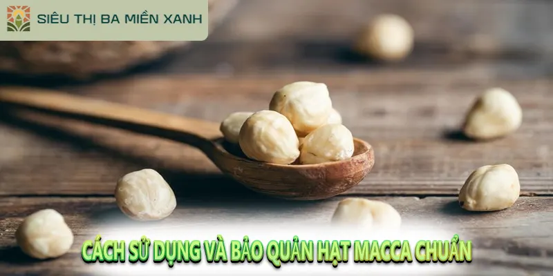 Hạt Macca Có Tác Dụng Gì? Và Cách Chọn Hạt Ngon 4 Cách sử dụng và bảo quản hạt Macca chuẩn