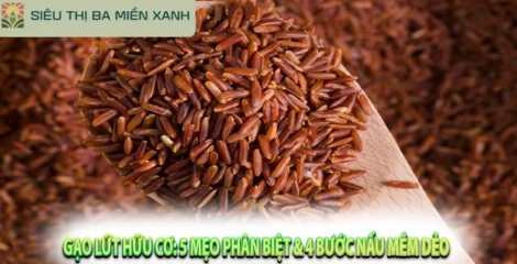 Gạo Lứt Hữu Cơ: 5 Mẹo Phân Biệt & 4 Bước Nấu Mềm Dẻo