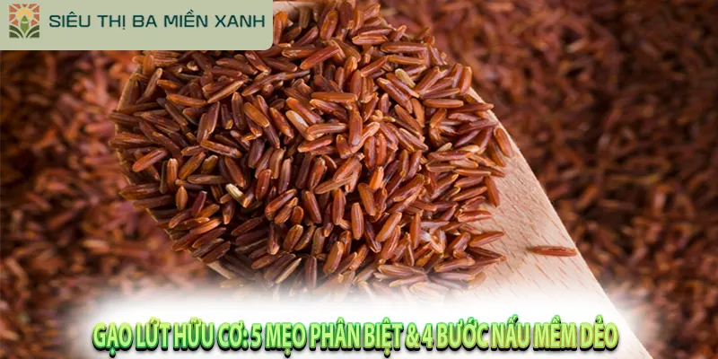 Gạo Lứt Hữu Cơ: 5 Mẹo Phân Biệt & 4 Bước Nấu Mềm Dẻo