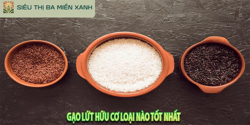 Gạo Lứt Hữu Cơ: 5 Mẹo Phân Biệt & 4 Bước Nấu Mềm Dẻo 3 Gạo lứt hữu cơ loại nào tốt nhất