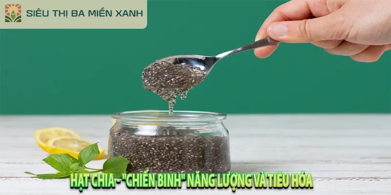 Giải Mã 5 "Hạt Dinh Dưỡng" Tốt Nhất & Cách Ăn Đúng Chuẩn 6 Hạt Chia - "Chiến Binh" Năng Lượng và Tiêu Hóa