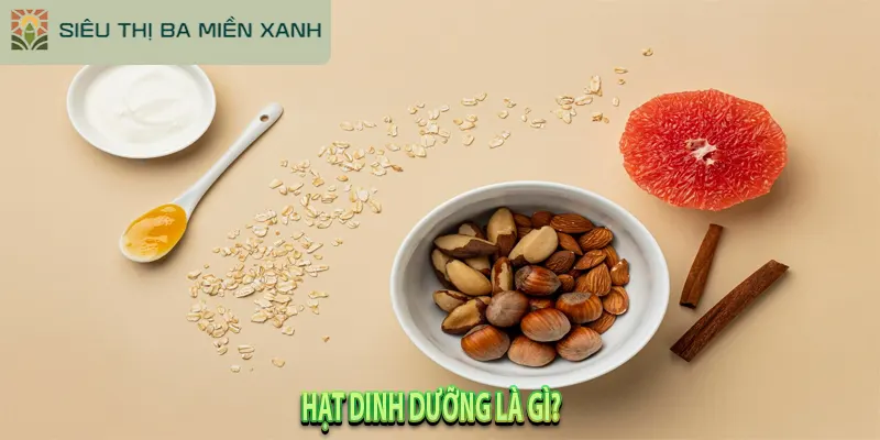 Giải Mã 5 "Hạt Dinh Dưỡng" Tốt Nhất & Cách Ăn Đúng Chuẩn 1 Hạt Dinh Dưỡng Là Gì?