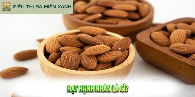 Hạt Hạnh Nhân: "Nữ Hoàng" Dinh Dưỡng & Cách Ăn Đúng 1 Hạt Hạnh Nhân Là Gì?