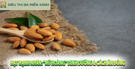 Hạt Hạnh Nhân: “Nữ Hoàng” Dinh Dưỡng & Cách Ăn Đúng