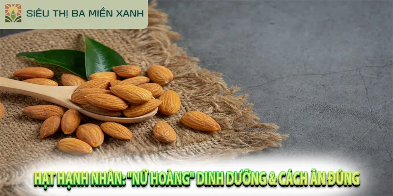 Hạt Hạnh Nhân: “Nữ Hoàng” Dinh Dưỡng & Cách Ăn Đúng