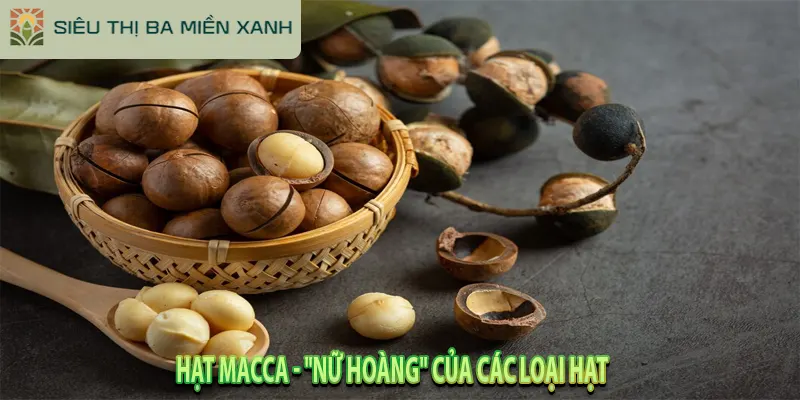 Giải Mã 5 "Hạt Dinh Dưỡng" Tốt Nhất & Cách Ăn Đúng Chuẩn 4 Hạt Macca - "Nữ Hoàng" Của Các Loại Hạt
