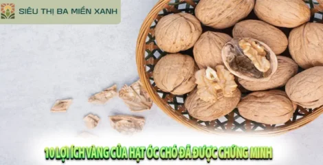 10 Lợi Ích Vàng Của Hạt Óc Chó Đã Được Chứng Minh