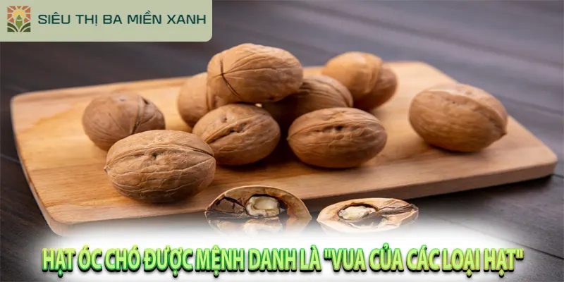 10 Lợi Ích Vàng Của Hạt Óc Chó Đã Được Chứng Minh 1 Hạt Óc Chó Được Mệnh Danh Là "Vua Của Các Loại Hạt"