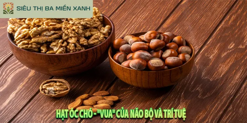 Giải Mã 5 "Hạt Dinh Dưỡng" Tốt Nhất & Cách Ăn Đúng Chuẩn 2 Hạt Óc Chó - "Vua" của Não Bộ và Trí Tuệ