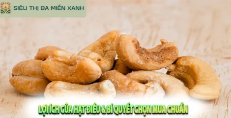 Lợi Ích Của Hạt Điều & Bí Quyết Chọn Mua Chuẩn