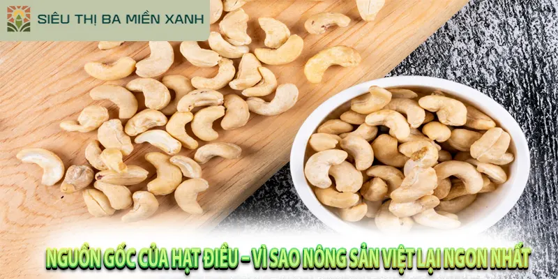 Lợi Ích Của Hạt Điều & Bí Quyết Chọn Mua Chuẩn 1 Nguồn Gốc Của Hạt Điều – Vì Sao Nông Sản Việt Lại Ngon Nhất