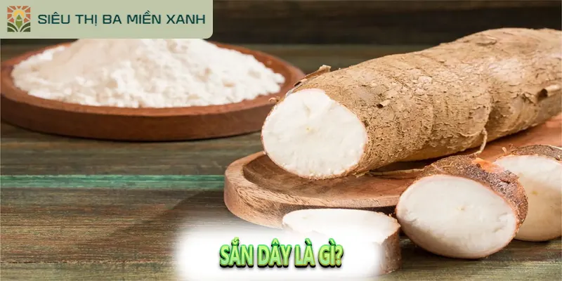 Sắn Dây là gì?