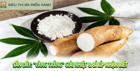 Sắn Dây: “Vàng Trắng” Giải Nhiệt & Bí Kíp Nhận Biết