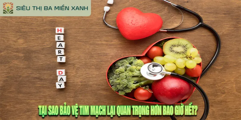 Top 15+ Thực Phẩm Tốt Cho Tim Mạch Được Khuyên Dùng 1 Tại Sao Bảo Vệ Tim Mạch Lại Quan Trọng Hơn Bao Giờ Hết?