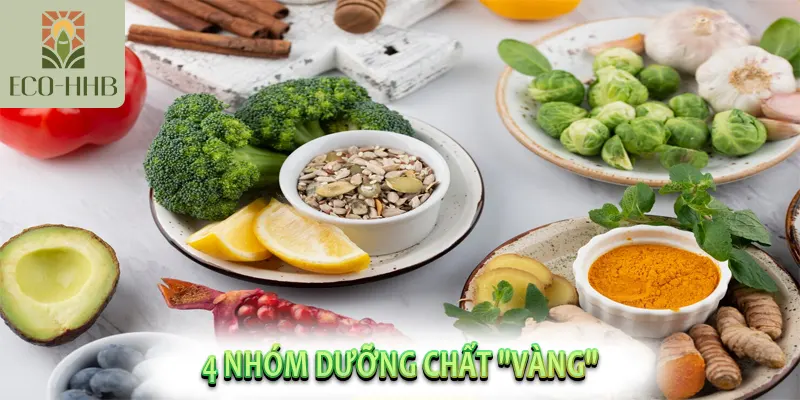 4 Nhóm dưỡng chất "vàng"