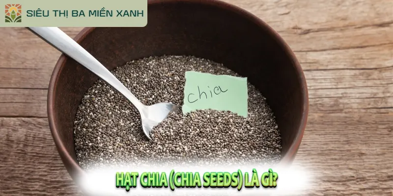 Hạt Chia (Chia Seeds) là gì?