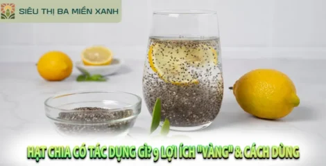 Hạt Chia Có Tác Dụng Gì? 9 Lợi Ích “Vàng” & Cách Dùng
