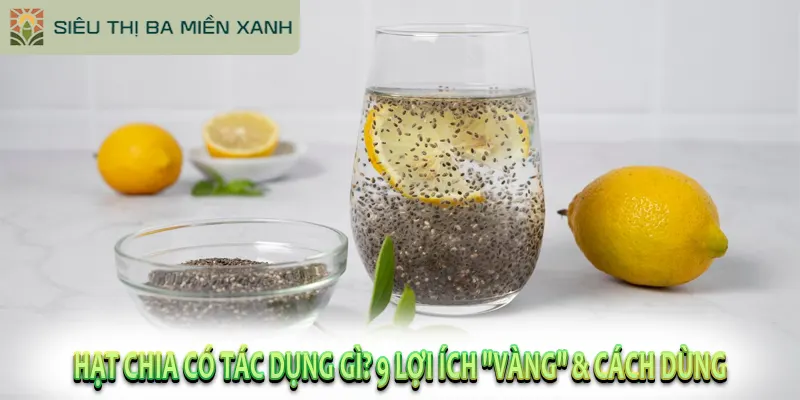 Hạt Chia Có Tác Dụng Gì? 9 Lợi Ích “Vàng” & Cách Dùng
