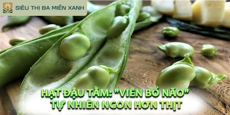 Hạt Đậu Tằm: “Viên Bổ Não” Tự Nhiên Ngon Hơn Thịt