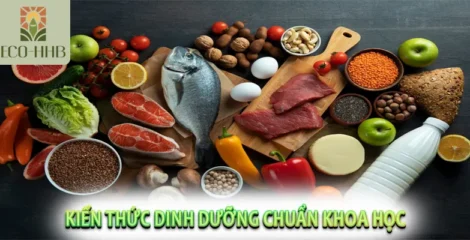 Kiến Thức Dinh Dưỡng Chuẩn Khoa Học