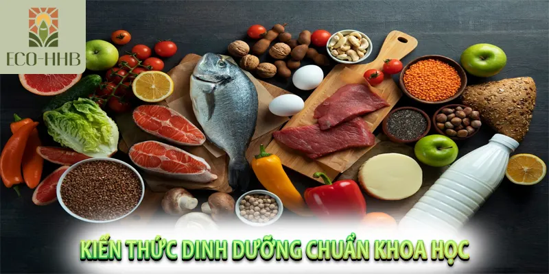 Kiến Thức Dinh Dưỡng Chuẩn Khoa Học