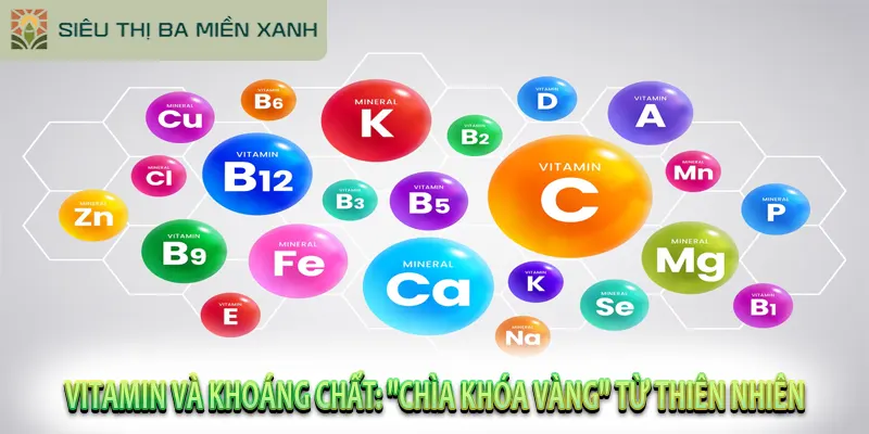 Vitamin và Khoáng Chất: “Chìa Khóa Vàng” Từ Thiên Nhiên