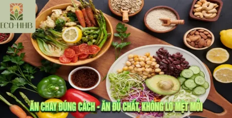 Ăn Chay Đúng Cách – Ăn Đủ Chất, Không Lo Mệt Mỏi