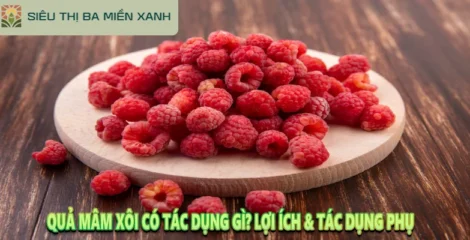 Quả Mâm Xôi Có Tác Dụng Gì? Lợi Ích & Tác Dụng Phụ