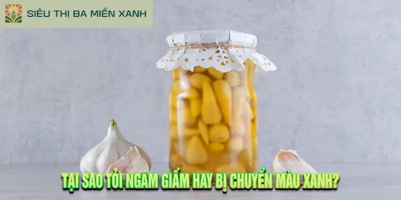 Tỏi Ngâm Giấm Có Tác Dụng Gì? Cảnh Báo & Cách Làm Chuẩn 2 tỏi ngâm giấm hay bị chuyển màu xanh
