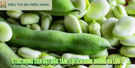 5 Tác Dụng Của Hạt Đậu Tằm: Lợi Ích Dinh Dưỡng Và Lưu Ý