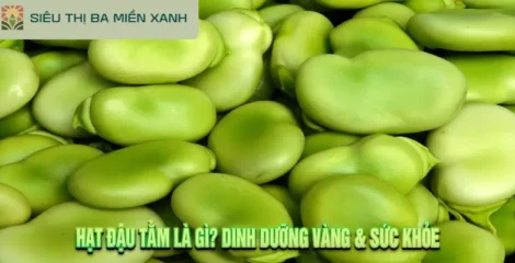 Hạt Đậu Tằm Là Gì? 5 Công Dụng & Cách Sơ Chế Không Bị Chát