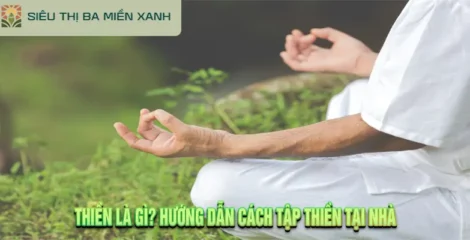 Thiền Là Gì? Hướng Dẫn Cách Tập Thiền Tại Nhà