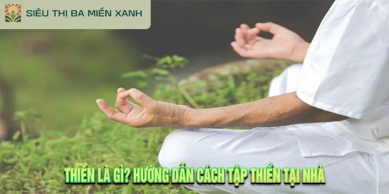 Thiền Là Gì? Hướng Dẫn Cách Tập Thiền Tại Nhà