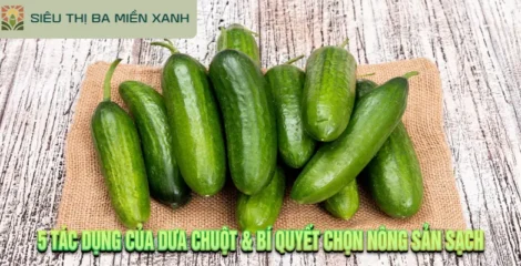 5 Tác Dụng Của Dưa Chuột & Bí Quyết Chọn Nông Sản Sạch