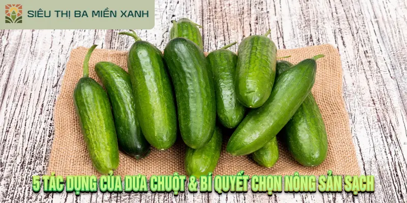 5 Tác Dụng Của Dưa Chuột & Bí Quyết Chọn Nông Sản Sạch