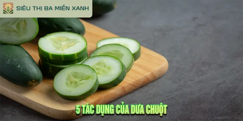 5 Tác Dụng Của Dưa Chuột & Bí Quyết Chọn Nông Sản Sạch 2 5 Tác Dụng Của Dưa Chuột