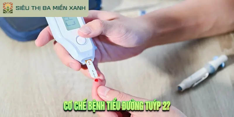 Cơ Chế Bệnh Tiểu Đường Tuýp 2?