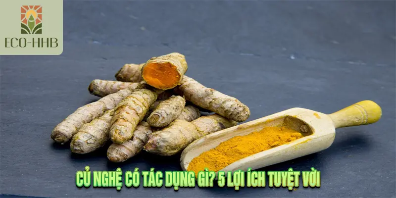 Củ Nghệ Có Tác Dụng Gì? 5 Lợi Ích Tuyệt Vời
