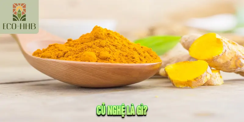 Củ Nghệ Là Gì?
