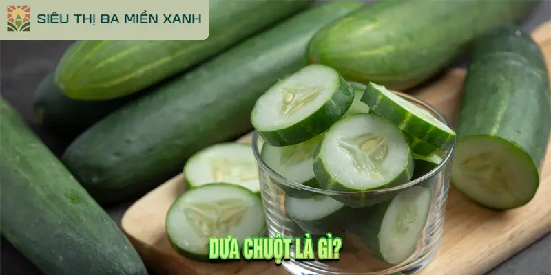 5 Tác Dụng Của Dưa Chuột & Bí Quyết Chọn Nông Sản Sạch 1 Dưa Chuột Là Gì?