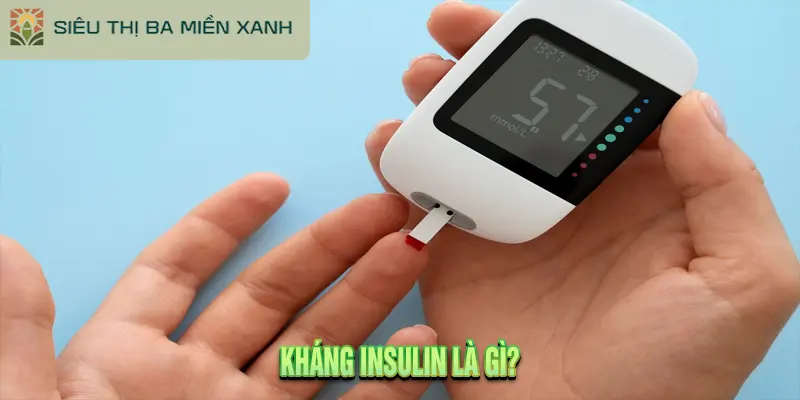 Kháng insulin là gì?