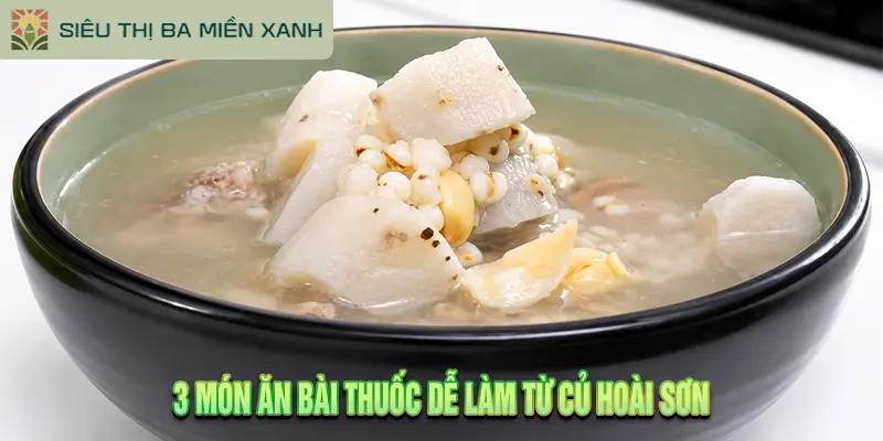 Củ Hoài Sơn Là Gì? 7 Tác Dụng Vàng Bồi Bổ Sức Khỏe 3 3 Món Ăn Bài Thuốc Dễ Làm Từ Củ Hoài Sơn