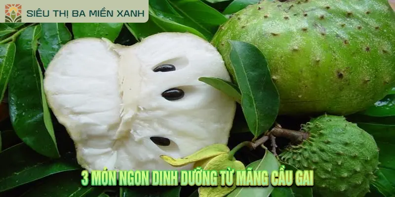 Mãng Cầu Gai: 5 Tác Dụng & Lưu Ý Khi Dùng 3 3 Món Ngon Dinh Dưỡng Từ Mãng Cầu Gai