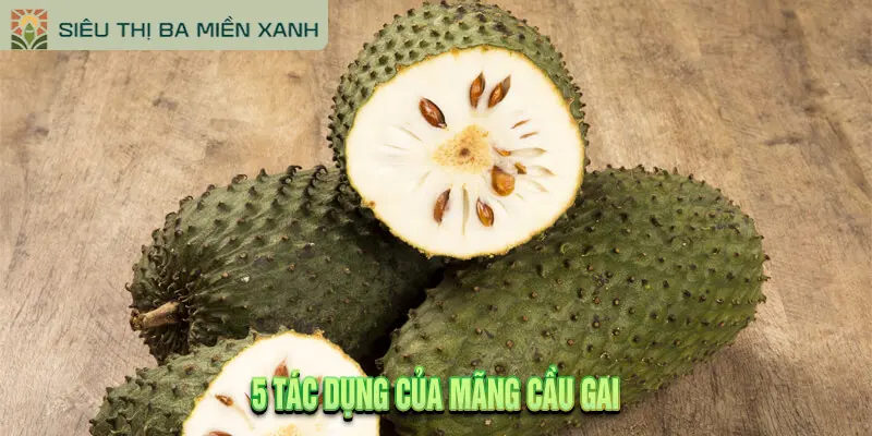 Mãng Cầu Gai: 5 Tác Dụng & Lưu Ý Khi Dùng 2 5 Tác Dụng Của Mãng Cầu Gai