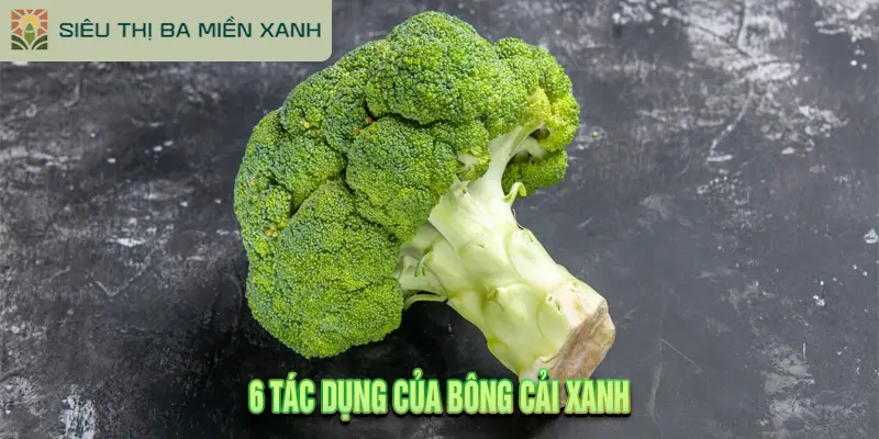 Bông Cải Xanh: 6 Tác Dụng Thần Kỳ 2 6 tác dụng của bông cải xanh